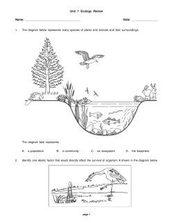 Final Exam Assessment