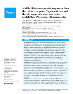 Middle Pleistocene protein sequences from the rhinoceros