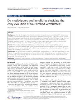 Do mudskippers and lungfishes elucidate the early evolution of four