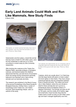 Early Land Animals Could Walk and Run Like Mammals