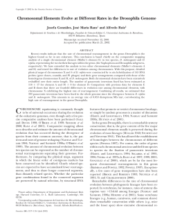 Chromosomal Elements Evolve at Different Rates in the Drosophila