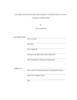 FACTORS INFLUENCING THE DEVELOPMENT OF WIND POWER
