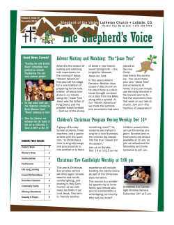 Advent Waiting and Watching: The &ldquo;Jesse Tree&rdquo; Children`s