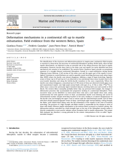 Deformation mechanisms in a continental rift up to mantle