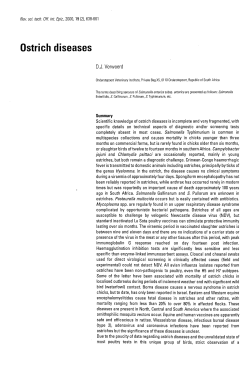 Ostrich diseases