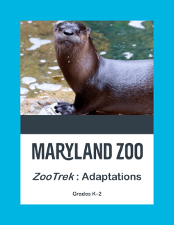 Adaptations Zoo Trek K-2 - The Maryland Zoo in Baltimore