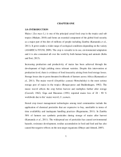 1 CHAPTER ONE 1.0: INTRODUCTION Maize ( Zea mays L.) is one
