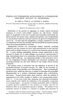 PURINE AND PYRIMIDINE ANTAGONISM IN A PYRIMIDINE