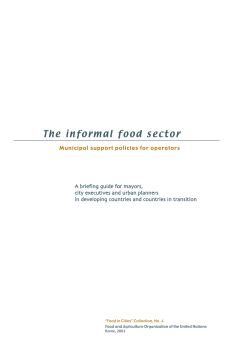 The informal food sector