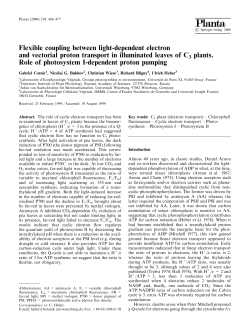 Flexible coupling between light-dependent electron and vectorial