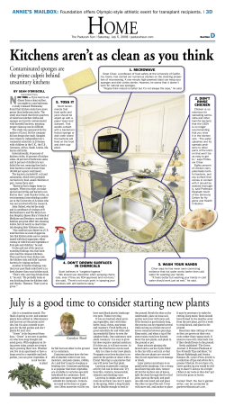 Saturday, July 05, 2008 - d