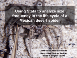 Partitioning between syntopic congeners? A case of desert spiders