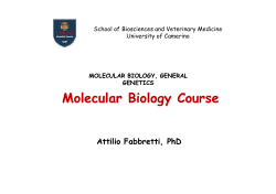 Molecular Biology Course Molecular Biology Course