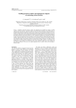 Seedling growth in conifers and angiosperms