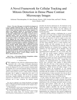A Novel Framework for Cellular Tracking and Mitosis Detection in