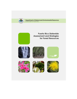 Puerto Rico`s Forest Action Plan - National Association of State
