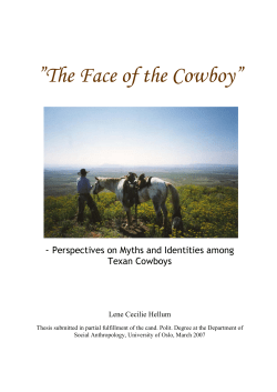 Texan Cowboys