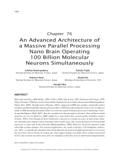 An Advanced Architecture of a Massive Parallel