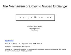 The Mechanism of Lithium