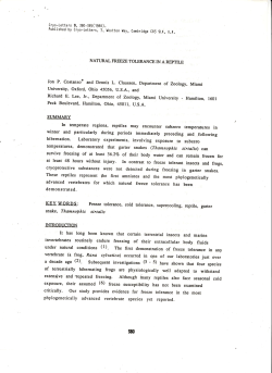 NATURAL FREEZE TOLERANCE IN A REPTILE Jon P. costanzo