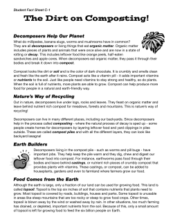 Curriculum - The Dirt On Composting