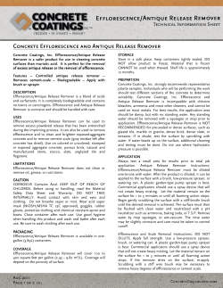 Efflorescence Remover Technical Data Sheet (TDS)