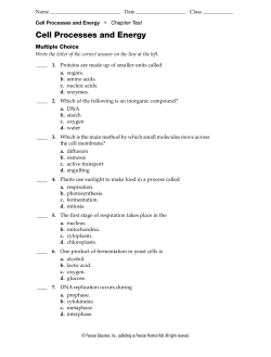 Cell Processes and Energy Chapter 3 Test