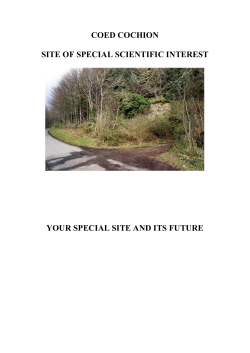 Coed Cochion SMS - Natural Resources Wales