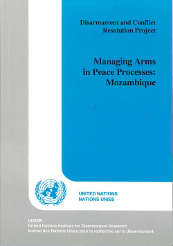 Managing Arms in Peace Processes: Mozambique