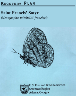 Saint Francis Satyr Recovery Plan