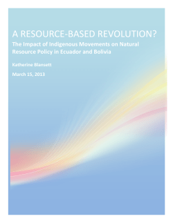 A Resource-Based Revolution? The Impact of Indigenous