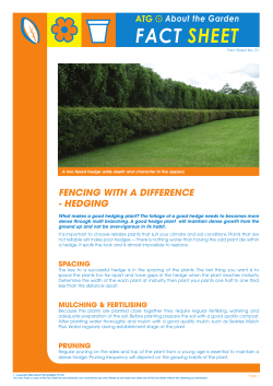 Hedging - About the Garden