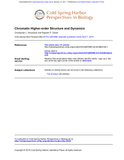 Chromatin Higher-order Structure and Dynamics