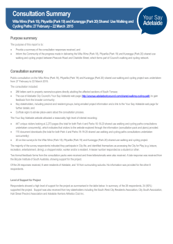 Consultation Summary