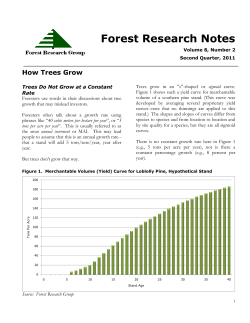 How Trees Grow - Forest Research Group