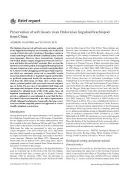 Full text - Acta Palaeontologica Polonica