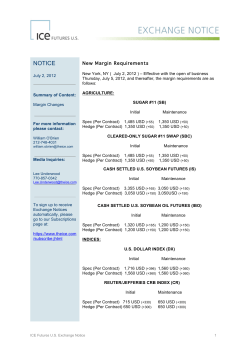 New Margin Requirements - 070212[1]