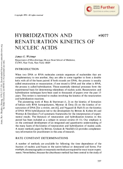 Hybridization and Renaturation Kinetics of Nucleic Acids