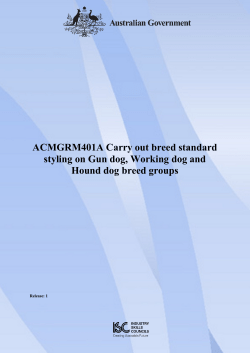 ACMGRM401A Carry out breed standard styling on Gun dog