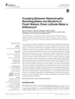Coupling Between Heterotrophic Nanoflagellates and Bacteria in
