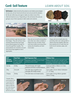 Soil Texture