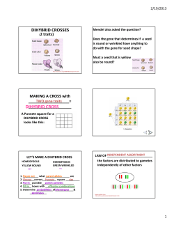 DIHYBRID CROSSES DIHYBRID CROSS