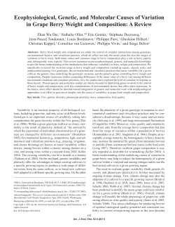 PDF - American Journal of Enology and Viticulture