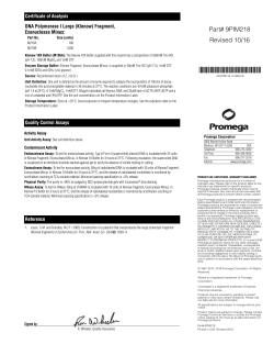 (Klenow) Fragment, Exonuclease Minus Protocol