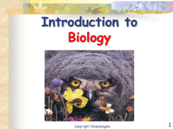 Introduction to Biology