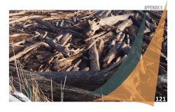 Appendix II - City of Oak Harbor