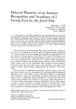 Delayed Plasticity of an Instinct: Recognition and