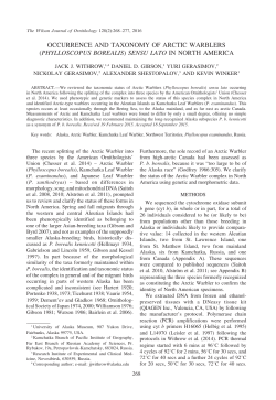 (phylloscopus borealis) sensu lato in north america