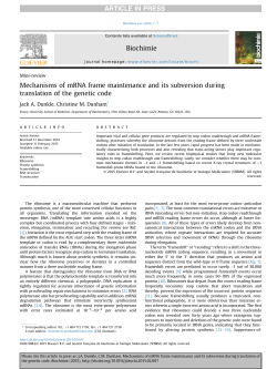 Mechanisms of mRNA frame maintenance and its subversion during