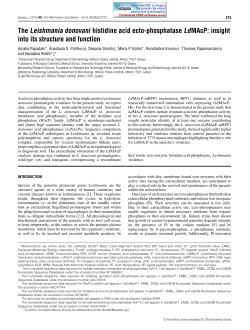 The Leishmania donovani histidine acid ecto